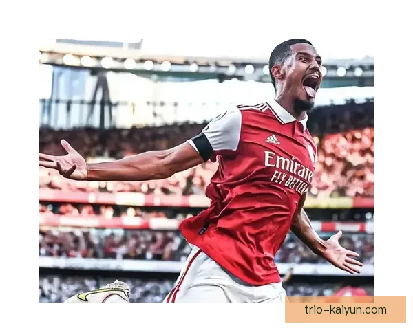 法国萨利巴阿森纳铁卫